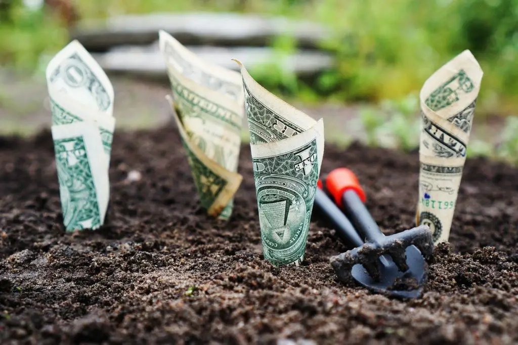 Money Grow Interest Save Invest  - TheDigitalWay / Pixabay